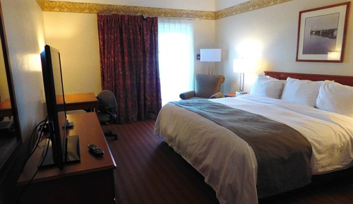 Suite Confort, 1 habitación