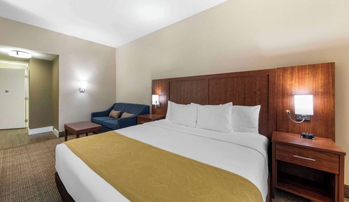 Suite, 1 cama de matrimonio grande, accesible para personas con discapacidad, no fumadores