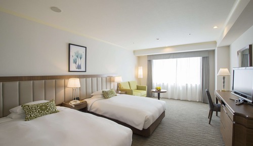 Habitación superior con 2 camas individuales, fumadores (A, 29.7sqm)