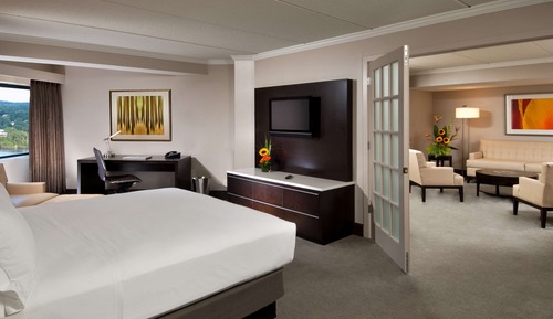 Suite, 1 cama de matrimonio grande
