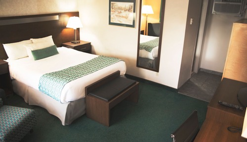 Efficiency, Habitación, 1 cama de matrimonio, no fumadores