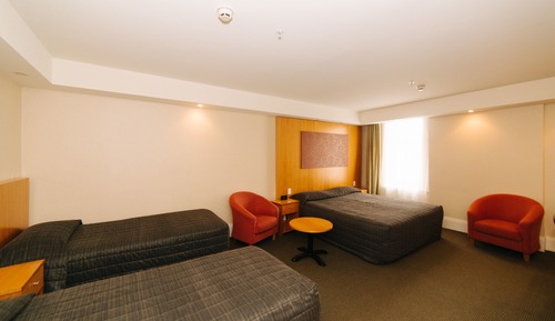 Suite estudio familiar
