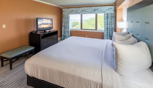 Suite estándar, 1 cama de matrimonio grande con sofá cama, vistas al parque