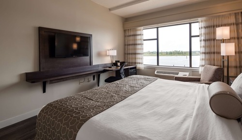 Habitación estándar, 1 cama de matrimonio grande, no fumadores, vistas al río