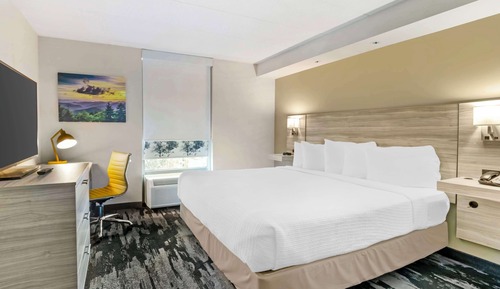 Suite, 1 cama de matrimonio grande, no fumadores, frigorífico y microondas