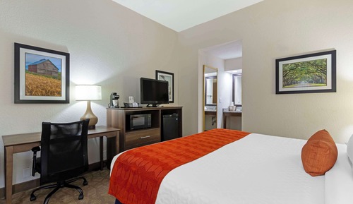 Habitación estándar, 1 cama de matrimonio grande, no fumadores, frigorífico y microondas