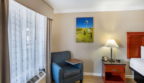 Habitación estándar, 1 cama de matrimonio grande, no fumadores, frigorífico y microondas