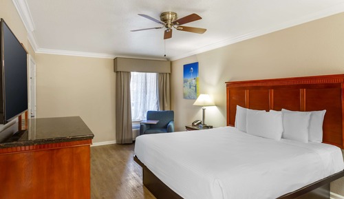 Habitación estándar, 1 cama de matrimonio grande, no fumadores, bañera de hidromasaje