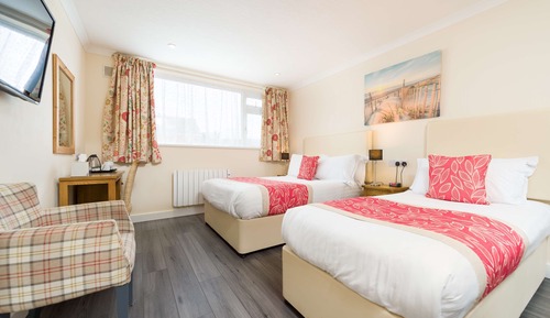 Habitación estándar, varias camas, no fumadores (Pet Friendly)