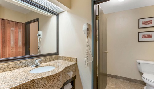 Habitación estándar, 1 cama de matrimonio grande, no fumadores