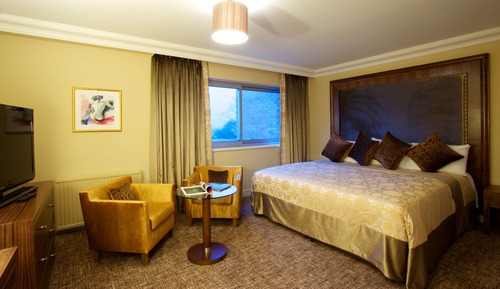 Suite, 1 cama de matrimonio grande