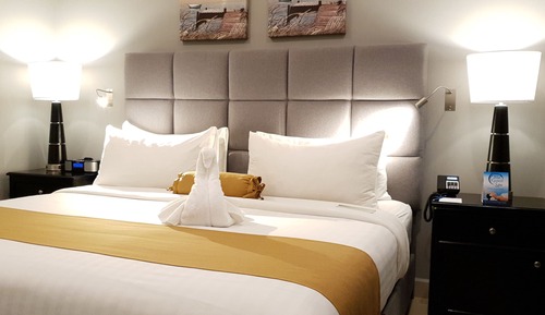 Habitación Premium, 1 cama de matrimonio grande, no fumadores, frigorífico y microondas
