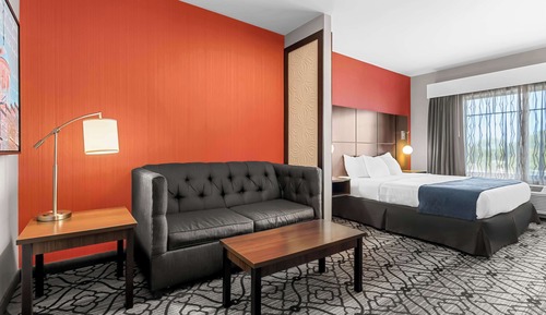 Habitación estándar, 1 cama de matrimonio grande, no fumadores, microondas