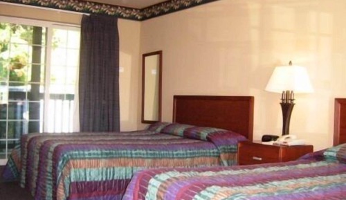 Habitación estándar, vistas al jardín