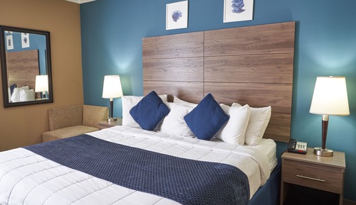 Habitación estándar, 1 cama de matrimonio grande, no fumadores