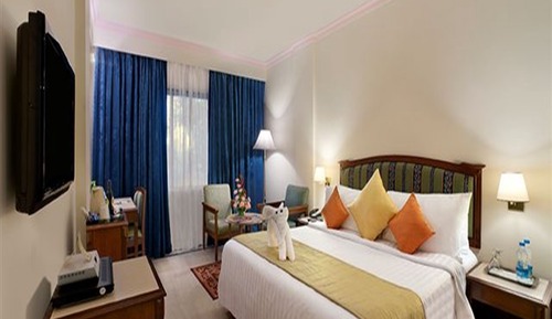 Habitación individual superior, 1 cama de matrimonio grande