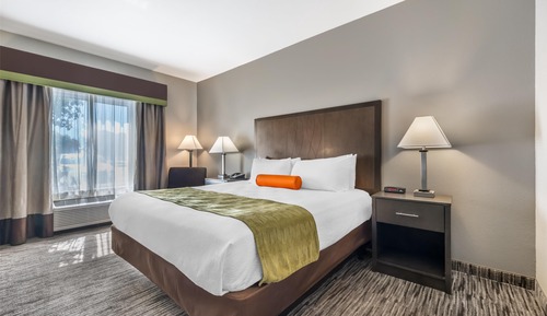 Habitación estándar, 1 cama de matrimonio grande, accesible para personas con discapacidad