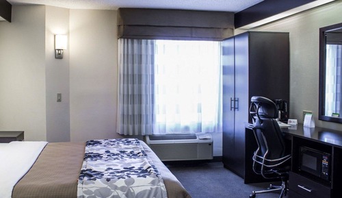 Habitación, 1 cama de matrimonio, accesible para personas con discapacidad, no fumadores