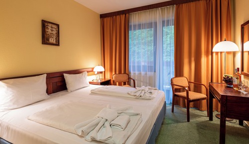 Habitación básica doble, 1 cama de matrimonio grande, no fumadores
