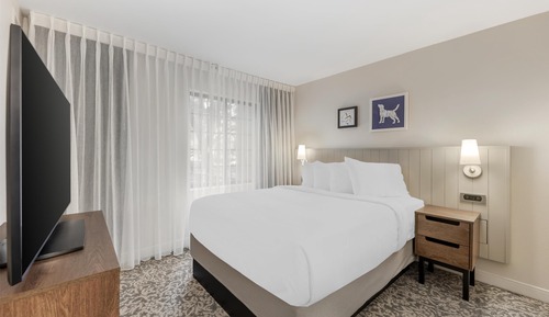 Suite, 1 cama de matrimonio con sofá cama (One Bedroom)