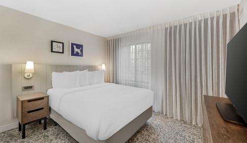 Suite, varias camas (Two Bedroom King and Queen)