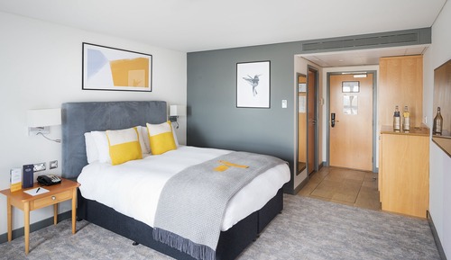 Habitación estándar, 1 cama de matrimonio