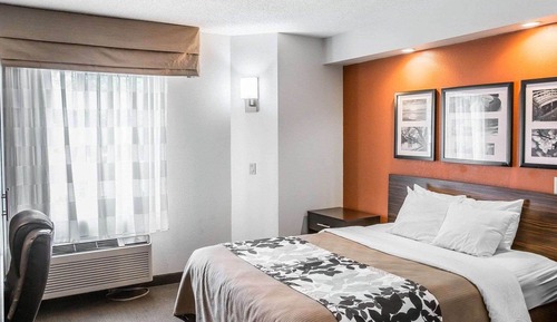 Habitación, 1 cama de matrimonio, accesible para personas con discapacidad, no fumadores