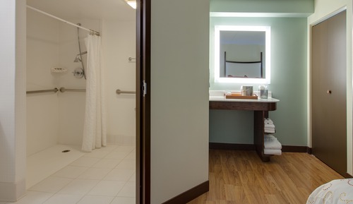 Habitación estándar, 1 cama doble, accesible en silla de ruedas (Roll-In Shower)