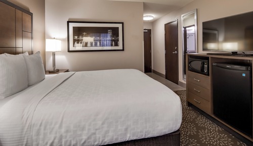 Habitación estándar, 1 cama de matrimonio, no fumadores, frigorífico y microondas