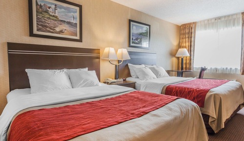 Habitación, 2 camas de matrimonio, no fumadores