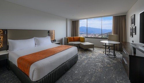 Habitación estándar, 1 cama de matrimonio grande, vistas a la ciudad