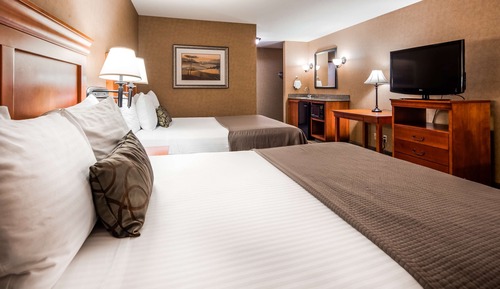 Habitación estándar, 2 camas de matrimonio, no fumadores, frigorífico y microondas (Pet Friendly)