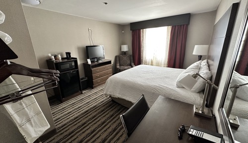 Habitación individual estándar, 1 cama de matrimonio grande