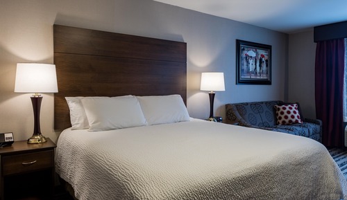 Habitación estándar, 1 cama de matrimonio grande con sofá cama, no fumadores (No Pets)