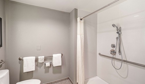 Habitación estándar, 1 cama de matrimonio grande (Roll-in Shower)