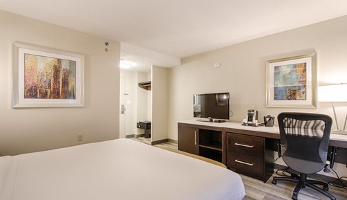Habitación estándar, 1 cama de matrimonio grande