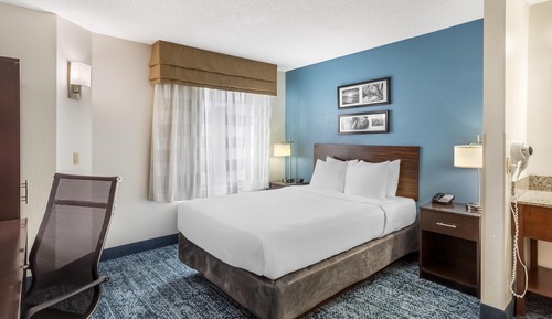 Habitación estándar, 1 cama de matrimonio