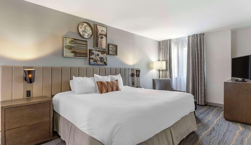 Suite, 1 cama de matrimonio grande con sofá cama, no fumadores (Wet Bar)