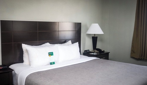 Habitación estándar, 1 cama de matrimonio grande, no fumadores