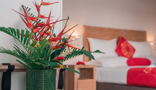 Suite con jardín