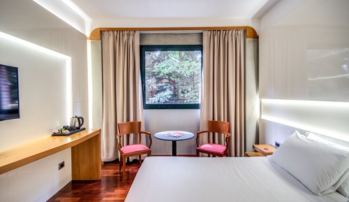 Habitación Deluxe con 1 cama doble o 2 individuales