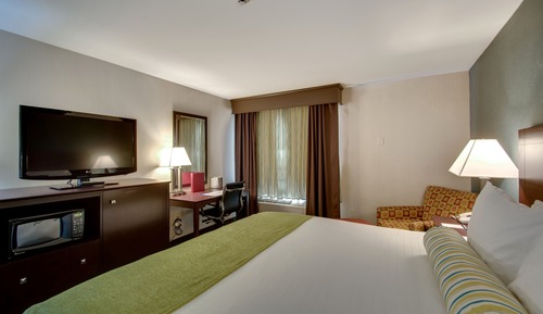 Habitación estándar, 1 cama de matrimonio grande, no fumadores, frigorífico y microondas