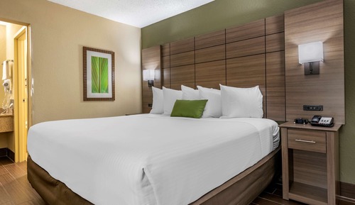 Habitación estándar, 1 cama de matrimonio grande, no fumadores (Pet Friendly)