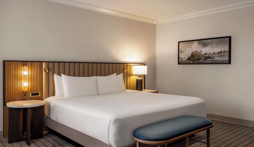 Suite junior, 1 cama de matrimonio grande (Presidential)