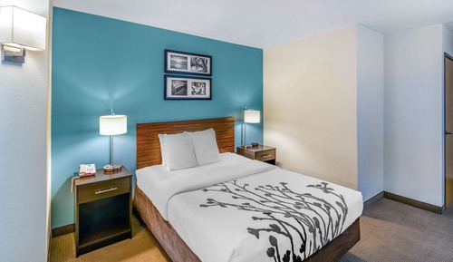 Habitación estándar, 1 cama de matrimonio, accesible para personas con discapacidad, no fumadores