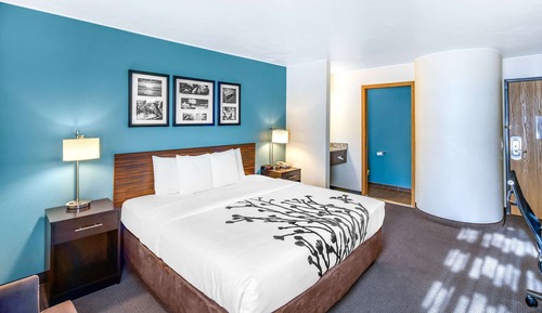 Habitación estándar, 1 cama de matrimonio grande, no fumadores