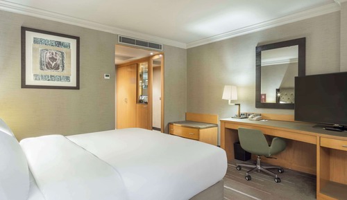 Habitación Deluxe, 1 cama de matrimonio grande