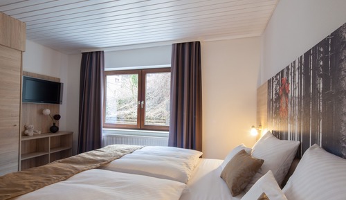 Apartamento estándar, varias camas (with Sofabed)