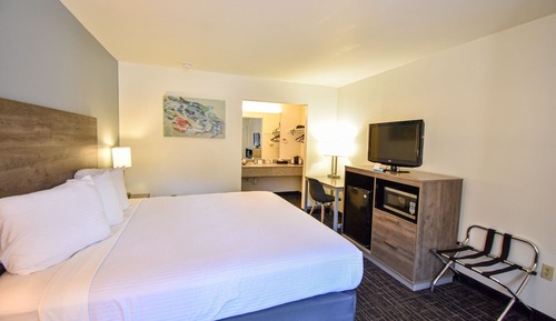 Habitación estándar, 1 cama de matrimonio grande
