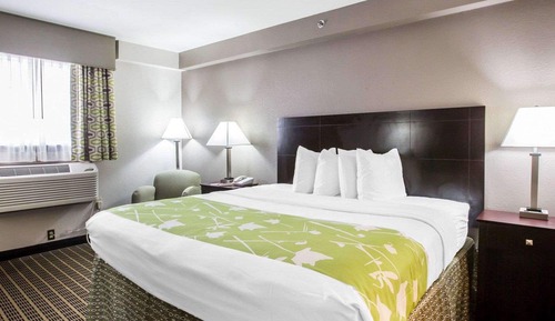 Habitación estándar, 1 cama de matrimonio grande, no fumadores